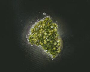 Liver Biopsy When It's Needed, How It's Done, and What Results Mean