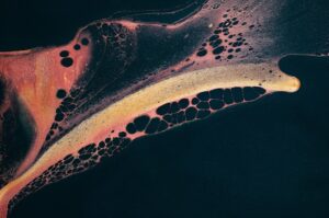 The Importance of Liver Enzymes in Blood Tests and What Abnormal Results Mean