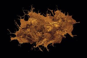 The Role of the Liver in Regulating Cholesterol and Lipid Levels Effectively