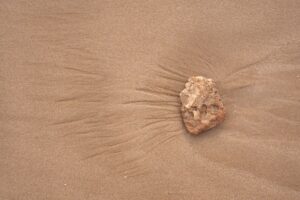 The Science Behind Liver Regeneration and Its Limitations in Advanced Liver Damage